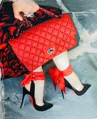 Estampa Bolsa e Salto Vermelho